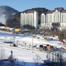 28 | 모나 용평리조트 빌라콘도 28평: 내돈내산 후기