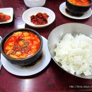 돌고래식당 이미지