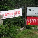 씰즈