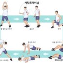 서킷트레이닝