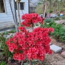 온수 농장 이미지