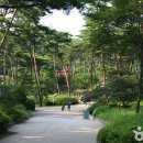 종로-종로-종로-종-364 이미지