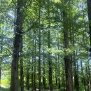 금화정 농장 이미지