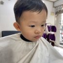 윤담