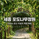 쌍류포도정원협동조합 | 세종 포도나무정원 200m 포도 터널과 계절별 농촌 체험 즐기기