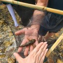 영월군시설관리공단 화장실 이미지