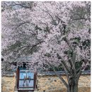 밀양향교 이미지