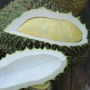 백과아시아마트