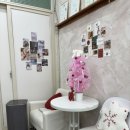 동수4길 33, (연수동) | [충주] 연수동 핑크네일에서 크리스마스 네일 후기