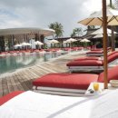 핑크메드 이미지