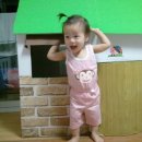 뚱보 고양이 이미지