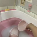 토브 펫 살롱 이미지