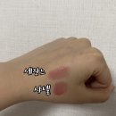 뮤트스테이 | 돈키호테 가성비 립, 일본 여행 가면 쟁여와야 할 '세잔느 래스팅 스테이 립' 솔직 후기, 샤넬 발색 비교