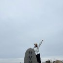 다혜원 | [일상] 뒤죽박죽 내 일상