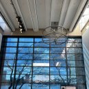 번개과학체험관 GAME | [보스턴 여행] 아이와 가볼만한 곳! '보스턴 과학 박물관' 로봇개 스팟부터 번개쇼