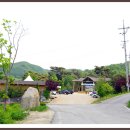 술익는마을 Daum카페