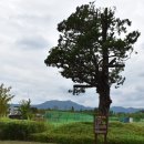 승촌공원 캠핑장 이미지