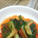 풍년순대 Daum카페