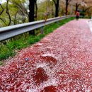 삼포선착장 이미지