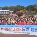 예산농장 이미지