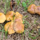 11650-14-14-4 이미지