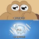 코리아관광 네이버블로그