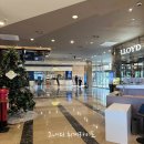 속초오션비치 | 속초 켄싱턴 설악비치 아기랑 노블리안 오션뷰 코코몽 키즈월드 일출 애슐리퀸즈 후기