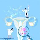 강남라이프산부인과의원 이미지