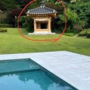 김건희는 세금으로 강아지 수영장을 만들어줬네 이미지