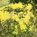 샘머리1단지 이미지