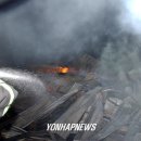 이재혁 농장 이미지