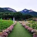 산들소리생활건강 | 남양주 산들소리수목원,식물원 나들이 여행,데이트코스