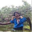 무심교옆 Daum카페