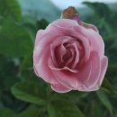 부부1 태양광발전소 이미지