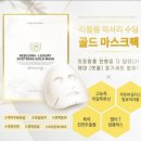 살롱인숲