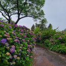 동광리-13 이미지