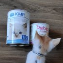 고양이 분유 구매후기 (페베Pebe, 트로펫KMS, KMR 영양성분 가격비교)
