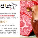 (주)성웅축산기업