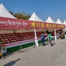 무한천농장 | 예산 황토사과 축제 방문 후기