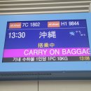 오키나와 자유여행 일정 1일차 | 그린디오소 오키나와 풀빌라 온나 후기