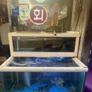 맛짱나라 이미지