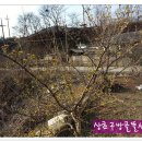 여난농장 이미지