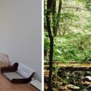 힐리언스 이미지