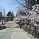 정발산공원 산책로 입구 이미지