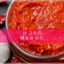 로토스 28 | 반 고흐의 예술을 담은 Loving Vincent