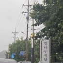 산골황태국밥집 | 양양 맛집 감나무식당 후기｜송이황태국밥 한 그릇으로 든든했던 아침
