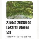 비거농장 이미지