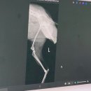 24시 코끼리동물병원 이미지