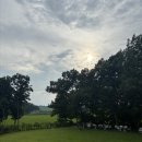 슬로우도 | 강화도 카페 추천 [슬로우레인] 애견동반 내돈내산 후기