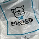 샐로틴 이미지